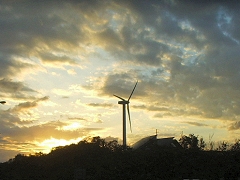 鯨波海岸の風車(米山SAから)
